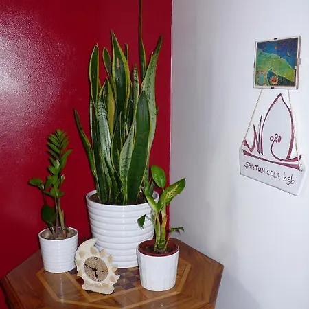 Bed & Breakfast Santunicola B&B Gagliano del Capo