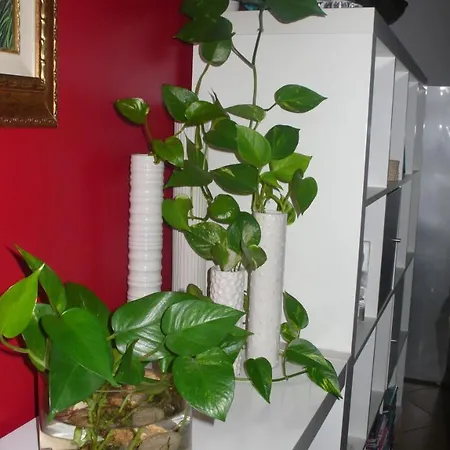 Santunicola B&B Bed & Breakfast Gagliano del Capo