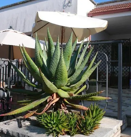 Bed and Breakfast Santunicola B&B 3*
