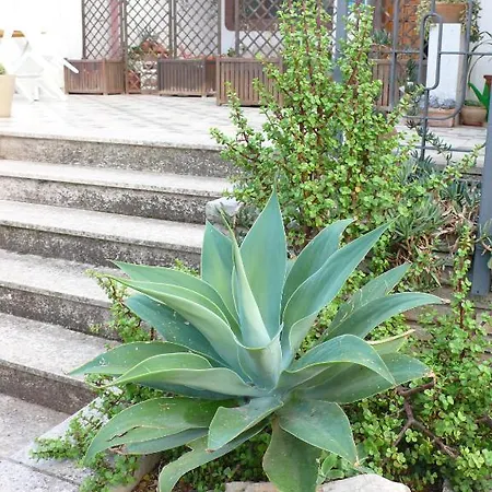 Santunicola B&B Bed & Breakfast