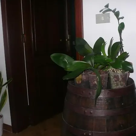 Santunicola B&B Gagliano del Capo